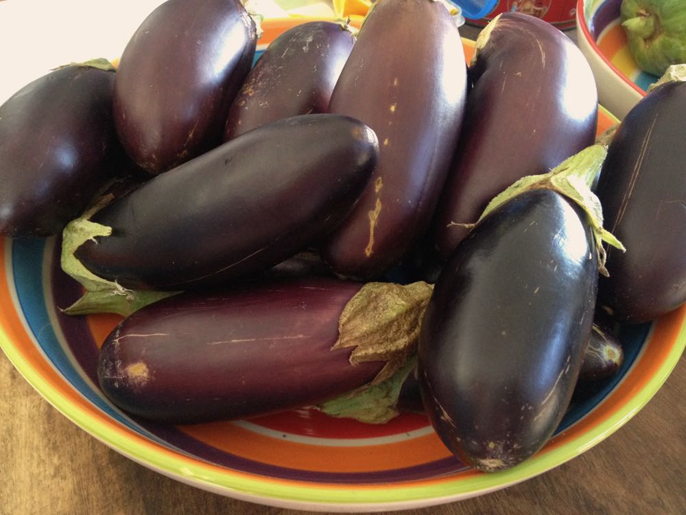 Aubergines at the Farmers Market