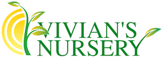 Vivin's Nursery Curacao